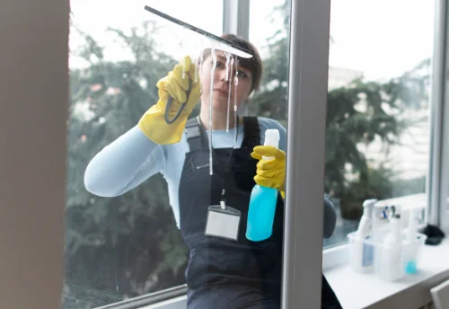 Nettoyage de vitres intérieures et extérieures à Sahurs